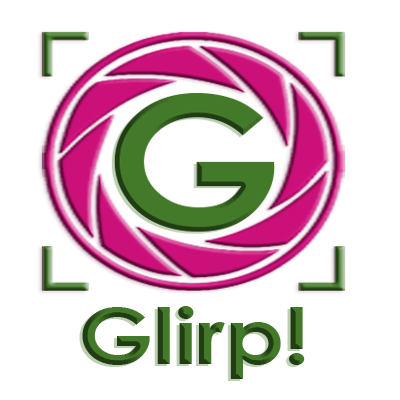 Proyecto GLIRP